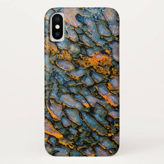 Versteinerter Dinosaurier-Knochen Case-Mate iPhone Hülle (Rückseite)