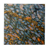 Versteinerter Dinosaurier-Knochen Fliese (Vorderseite)