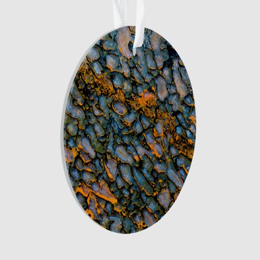 Versteinerter Dinosaurier-Knochen Ornament (Vorderseite)