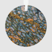 Versteinerter Dinosaurier-Knochen Ornament (Rückseite)