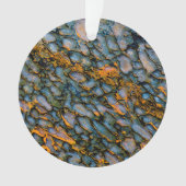 Versteinerter Dinosaurier-Knochen Ornament (Vorderseite)