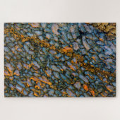 Versteinerter Dinosaurier-Knochen Puzzle (Horizontal)