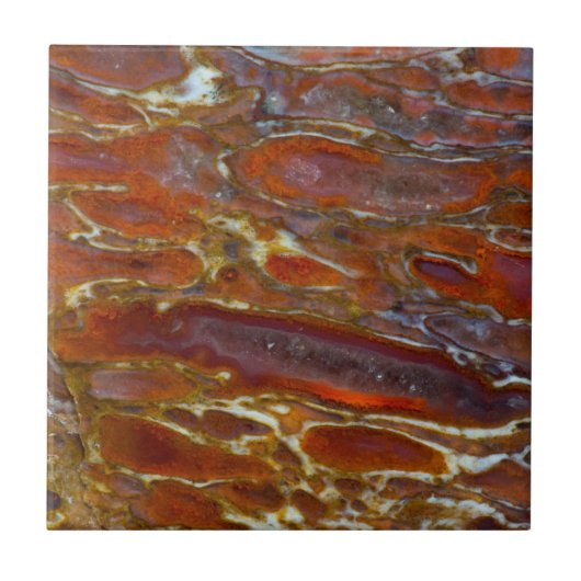Versteinerter Dinosaurierknochen Fliese (Vorderseite)
