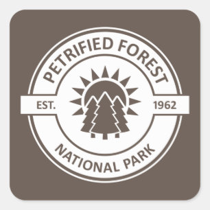 Versteinerter Forest National Park Sun Trees Quadratischer Aufkleber