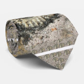 versteinerter Hintergrund Krawatte (Gerollt)