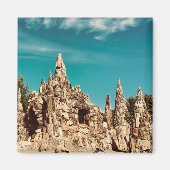 versteinerter Holzpark Magnet (Vorne)