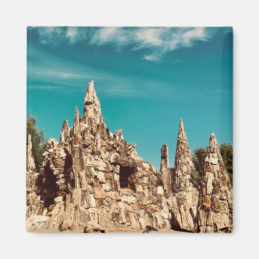 versteinerter Holzpark Magnet (Vorne)