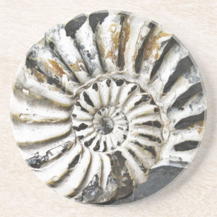 Versteinerter Nautical Fossil Spiral Untersetzer