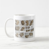 VERSTEINERTER SÄUGETIER-WIRBEL KAFFEETASSE (Links)