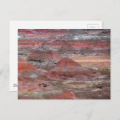 Versteinerter Wald 2 Postkarte (Vorne/Hinten)