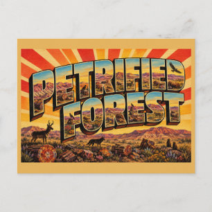 Versteinerter Wald Arizona Painted Desert Badlands Postkarte