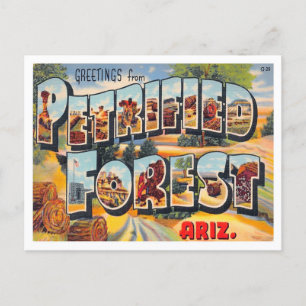 Versteinerter Wald, Arizona Vintage große Buchstab Postkarte