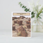 Versteinerter Wald, AZ, Vertikal Postkarte (Stehend Vorderseite)