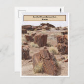 Versteinerter Wald, AZ, Vertikal Postkarte (Vorne/Hinten)