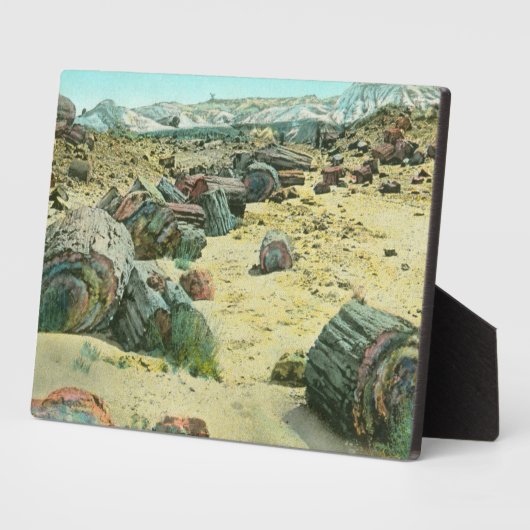 versteinerter Wald Fotoplatte (Seite)