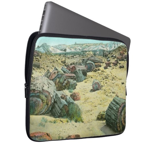 Versteinerter Wald Laptopschutzhülle (Vorne Rechts)