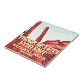 Versteinerter Wald Nationalpark, Arizona. Fliese (Seite)