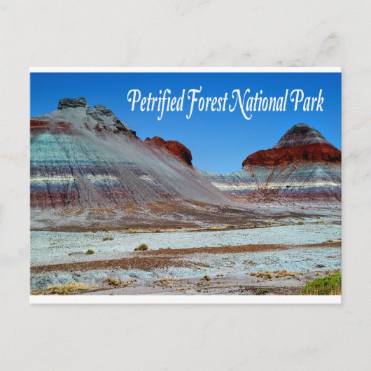 Versteinerter Wald-Nationalpark, Arizona Postcard Postkarte (Vorderseite)