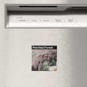 Versteinerter Wald-Nationalpark Magnet (In Situ (Geschirrspüler))