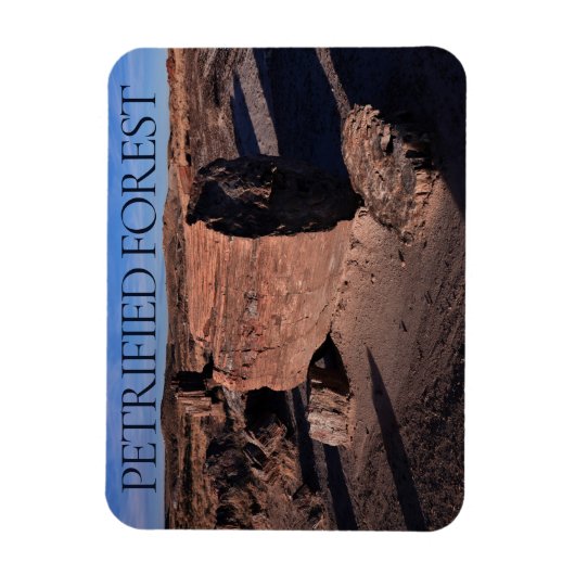 versteinerter Wald-Nationalpark Magnet (Vertikal)