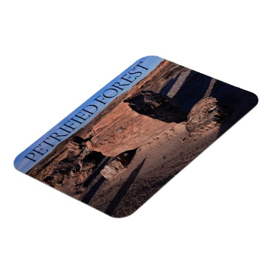 versteinerter Wald-Nationalpark Magnet (Linke Seite)