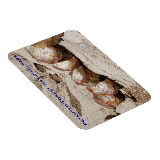 Versteinerter Wald-Nationalpark Magnet (Rechte Seite)