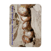 Versteinerter Wald-Nationalpark Magnet (Vertikal)