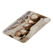 Versteinerter Wald-Nationalpark Magnet (Linke Seite)