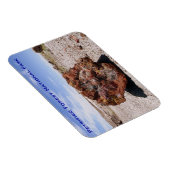 Versteinerter Wald-Nationalpark Magnet (Rechte Seite)