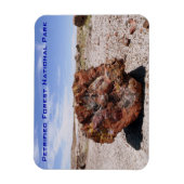 Versteinerter Wald-Nationalpark Magnet (Vertikal)