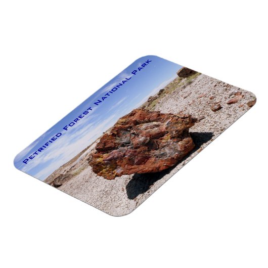 Versteinerter Wald-Nationalpark Magnet (Linke Seite)