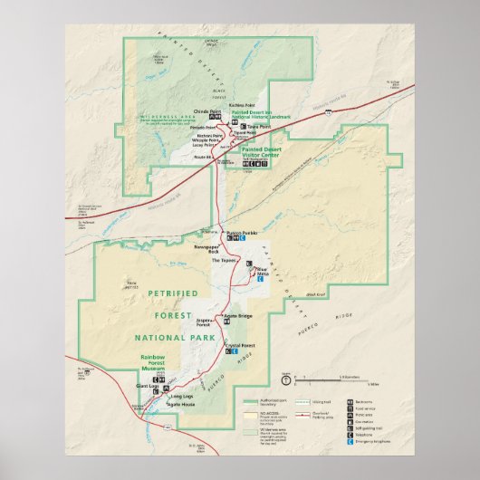 Versteinerter Wald-Nationalpark Poster (Vorne)