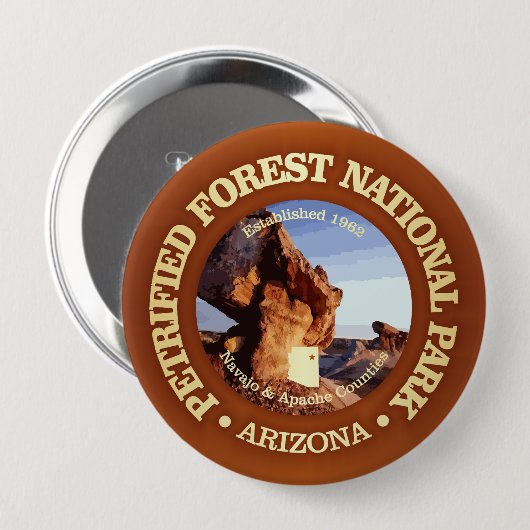 Versteinerter Wald (NP2) Button (Vorne & Hinten)