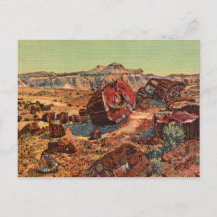 Versteinerter Wald Vintage Postkarte