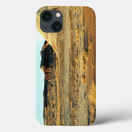 Versteinerter Wald Wüste Case-Mate iPhone Hülle (Rückseite)