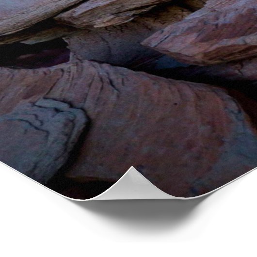 versteinerter WaldSunset Poster (Ecke)