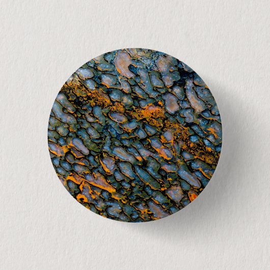 Versteinertes Dinosaurierskelett Button (Vorderseite)