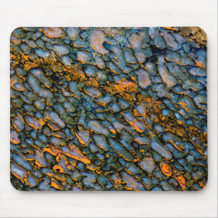 Versteinertes Dinosaurierskelett Mousepad