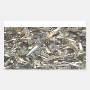 Versteinertes Haifischzahnmuster Rechteckiger Aufkleber