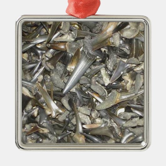 Versteinertes Haifischzahnmuster Silbernes Ornament (Vorne)