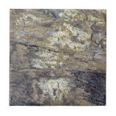 Versteinertes Holz Fliese (Vorderseite)