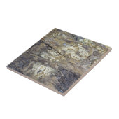 Versteinertes Holz Fliese (Seite)