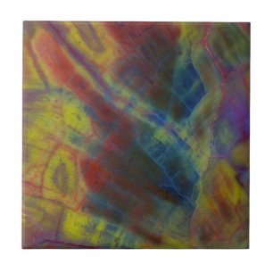 Versteinertes Holz Fliese