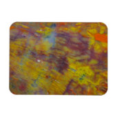 versteinertes Holz Magnet (Horizontal)