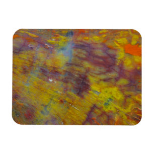 versteinertes Holz Magnet