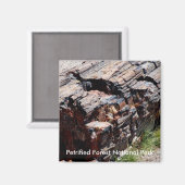 versteinertes Holz Magnet (Vorderseite/Rückseite)