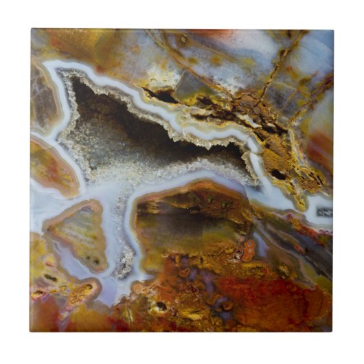 Versteinertes Holz mit Kristallen Fliese (Vorderseite)