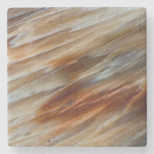Versteinertes Holz mit rauher Oberfläche Steinuntersetzer
