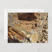versteinertes Holz, Seite Postkarte (Vorne/Hinten)