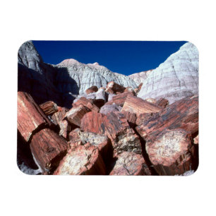 versteinertes Holz, versteinerter Wald NP, Arizona Magnet